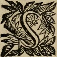 Picture 149 of 181 from Ritratto di Roma moderna (1638), leaf 429