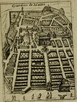 Picture 160 of 181 from Ritratto di Roma moderna (1638), leaf 466
