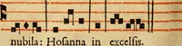Picture 215 of 259 from Rituale Romanum Pauli V. Pont. Max. iussu editum (1623), leaf 373