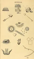 An illustration from Rituals of freemasonry: comprising the degrees of Entered apprentice, Fellow craft, and Master mason, in the lodge; (1870)