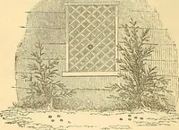 An illustration from Rituals of freemasonry: comprising the degrees of Entered apprentice, Fellow craft, and Master mason, in the lodge; (1870)