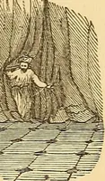 Picture 131 of 137 from Rituals of freemasonry: comprising the degrees of Entered apprentice, Fellow craft, and Master mason, in the lodge; (1870), leaf 828