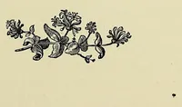 Picture 5 of 14 from Rivers of water in a dry place, or, From Africaner's kraal to Khama's city (1885), leaf 81