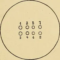 An illustration from Röntgenphotographie : Anleitung zu leicht auszuführenden Arbeiten mit statischer und galvanischer Elektrizität unter besonderer Berücksichtigung der Influenz-Elektrisiermaschine (1908)