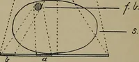 An illustration from The Röntgen rays in medical work (1899)