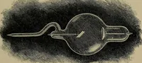 An illustration from The Röntgen rays in medical work (1899)
