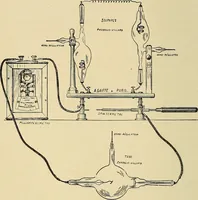 Picture 49 of 147 from The Röntgen rays in medical work (1907), leaf 103