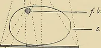 Picture 68 of 147 from The Röntgen rays in medical work (1907), leaf 164