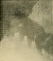 Picture 100 of 147 from The Röntgen rays in medical work (1907), leaf 249