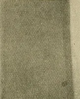 An illustration from The Röntgen rays in medical work (1907)