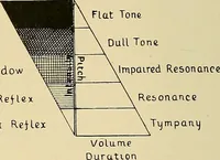 Picture 142 of 147 from The Röntgen rays in medical work (1907), leaf 369
