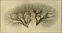 An illustration from The Röntgen rays in medical work (1907)