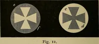 An illustration from Røntgens Straaler : en Fremstilling af de elektriske Straalefaenomener (1896)