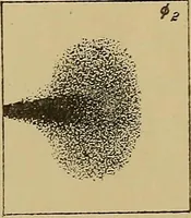 An illustration from Røntgens Straaler : en Fremstilling af de elektriske Straalefaenomener (1896)