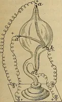 An illustration from Röntgen-Strahlen, Skotographie und Od : nach den neuesten Forschungen leichtfassliche dargestellt (1897)