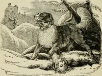 An illustration from The roads and railroads, vehicles, and modes of travelling, of ancient and modern countries; with accounts of bridges, tunnels, and canals, in various parts of the world .. (1839)