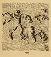 Picture 15 of 17 from Rock carvings of Hawaii; some possible traces of pre-historic Hawaiians (1904), leaf 17