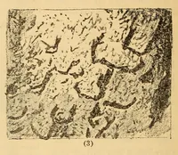 An illustration from Rock carvings of Hawaii; some possible traces of pre-historic Hawaiians (1904)