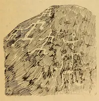 An illustration from Rock carvings of Hawaii; some possible traces of pre-historic Hawaiians (1904)