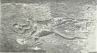 An illustration from The rock tombs of El Amarna (1903)