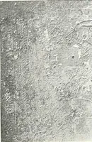 An illustration from The rock tombs of El Amarna (1903)