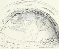 Picture 2 of 98 from The rock tombs of El Amarna (1903), leaf 23