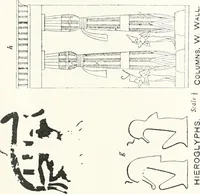 Picture 7 of 98 from The rock tombs of El Amarna (1903), leaf 70