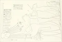 An illustration from The rock tombs of El Amarna (1903)