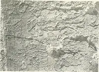 An illustration from The rock tombs of El Amarna (1903)