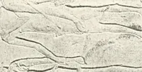 Picture 26 of 84 from The rock tombs of El Amarna (1903), leaf 80