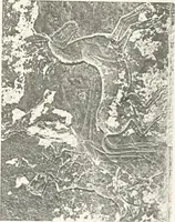 An illustration from The rock tombs of El Amarna (1903)