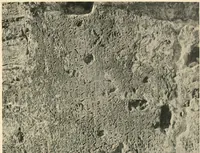 An illustration from The rock tombs of El Amarna (1903)