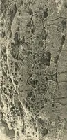 An illustration from The rock tombs of El Amarna (1903)