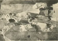An illustration from The rock tombs of El Amarna (1903)