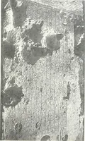An illustration from The rock tombs of El Amarna (1903)