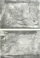 An illustration from The rock tombs of El Amarna (1903)