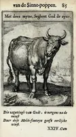 Picture 32 of 74 from Roemer Visschers Zinne-poppen : alle verciert met rÿmen en sommighe met proze (1669), leaf 197