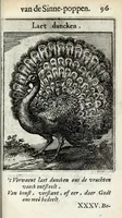 Picture 36 of 74 from Roemer Visschers Zinne-poppen : alle verciert met rÿmen en sommighe met proze (1669), leaf 219