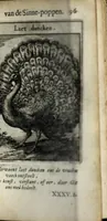 Picture 37 of 74 from Roemer Visschers Zinne-poppen : alle verciert met rÿmen en sommighe met proze (1669), leaf 221