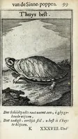 Picture 38 of 74 from Roemer Visschers Zinne-poppen : alle verciert met rÿmen en sommighe met proze (1669), leaf 227