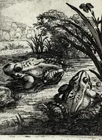 Picture 40 of 74 from Roemer Visschers Zinne-poppen : alle verciert met rÿmen en sommighe met proze (1669), leaf 241