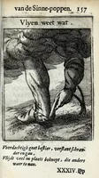 Picture 59 of 74 from Roemer Visschers Zinne-poppen : alle verciert met rÿmen en sommighe met proze (1669), leaf 345
