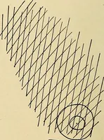An illustration from The Roentgen rays in medicine and surgery as an aid in diagnosis and as a therapeutic agent : designed for the use of practitioners and students (1901)
