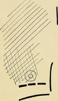 An illustration from The Roentgen rays in medicine and surgery as an aid in diagnosis and as a therapeutic agent : designed for the use of practitioners and students (1901)