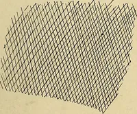 An illustration from The Roentgen rays in medicine and surgery as an aid in diagnosis and as a therapeutic agent : designed for the use of practitioners and students (1901)