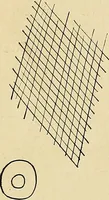 An illustration from The Roentgen rays in medicine and surgery as an aid in diagnosis and as a therapeutic agent : designed for the use of practitioners and students (1901)