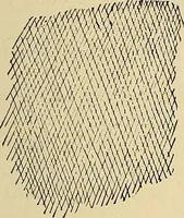 An illustration from The Roentgen rays in medicine and surgery as an aid in diagnosis and as a therapeutic agent : designed for the use of practitioners and students (1901)
