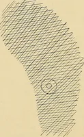 An illustration from The Roentgen rays in medicine and surgery as an aid in diagnosis and as a therapeutic agent : designed for the use of practitioners and students (1901)