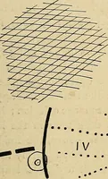 An illustration from The Roentgen rays in medicine and surgery as an aid in diagnosis and as a therapeutic agent : designed for the use of practitioners and students (1901)