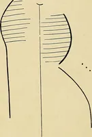 An illustration from The Roentgen rays in medicine and surgery as an aid in diagnosis and as a therapeutic agent : designed for the use of practitioners and students (1901)